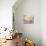 Au Temps D'Harmonie-Paul Signac-Stretched Canvas displayed on a wall