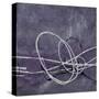 Aubergine Directions 2-Filippo Ioco-Stretched Canvas