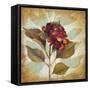 Aubergine Hydrangea Portrait-Lanie Loreth-Framed Stretched Canvas