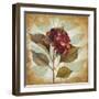 Aubergine Hydrangea Portrait-Lanie Loreth-Framed Art Print