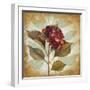 Aubergine Hydrangea Portrait-Lanie Loreth-Framed Art Print