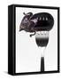 Aubergine on Fork-Martina Schindler-Framed Stretched Canvas