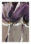 Aubergine Splendor II-Angela Maritz-Stretched Canvas