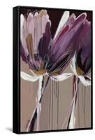 Aubergine Splendor II-Angela Maritz-Framed Stretched Canvas