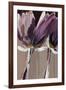 Aubergine Splendor II-Angela Maritz-Framed Art Print