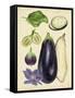 Aubergine Study II-Melissa Wang-Framed Stretched Canvas