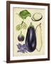 Aubergine Study II-Melissa Wang-Framed Art Print