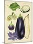 Aubergine Study II-Melissa Wang-Mounted Art Print