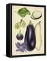 Aubergine Study II-Melissa Wang-Framed Stretched Canvas