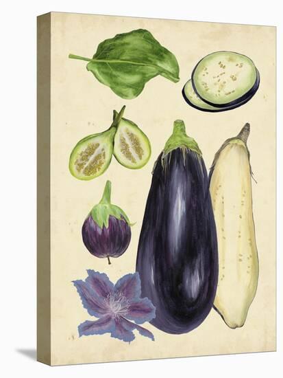 Aubergine Study II-Melissa Wang-Stretched Canvas