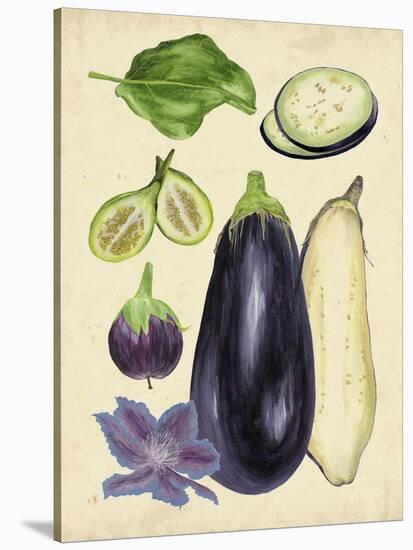 Aubergine Study II-Melissa Wang-Stretched Canvas