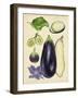 Aubergine Study II-Melissa Wang-Framed Art Print