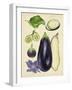 Aubergine Study II-Melissa Wang-Framed Art Print