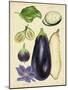 Aubergine Study II-Melissa Wang-Mounted Art Print