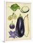 Aubergine Study II-Melissa Wang-Framed Art Print