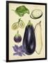 Aubergine Study II-Melissa Wang-Framed Art Print