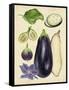 Aubergine Study II-Melissa Wang-Framed Stretched Canvas