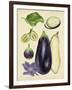 Aubergine Study II-Melissa Wang-Framed Art Print