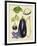 Aubergine Study II-Melissa Wang-Framed Art Print