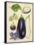 Aubergine Study II-Melissa Wang-Framed Stretched Canvas