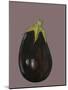 Aubergine-Sarah Thompson-Engels-Mounted Giclee Print