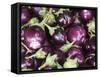 Aubergines on a Market Stall-Amanda Hall-Framed Stretched Canvas