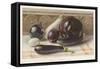 Aubergines or Egg Fruits-null-Framed Stretched Canvas