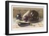 Aubergines or Egg Fruits-null-Framed Giclee Print