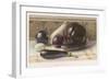 Aubergines or Egg Fruits-null-Framed Giclee Print