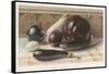 Aubergines or Egg Fruits-null-Framed Stretched Canvas