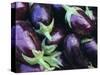 Aubergines, Tuscany, Italy, Europe-Bruno Morandi-Stretched Canvas