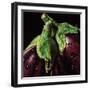 Aubergines-null-Framed Art Print