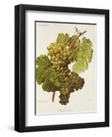 Aubin Blanc Grape-A. Kreyder-Framed Giclee Print