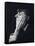 Aubrey Beardsley, 1894, 1894-Frederick Henry Evans-Framed Stretched Canvas