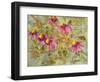 Aubrey's Garden-Blenda Tyvoll-Framed Giclee Print