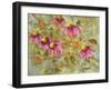 Aubrey's Garden-Blenda Tyvoll-Framed Giclee Print