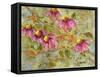 Aubrey's Garden-Blenda Tyvoll-Framed Stretched Canvas