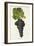 Aubun Grape-J. Troncy-Framed Giclee Print