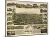 Auburn, California - Panoramic Map-Lantern Press-Mounted Art Print