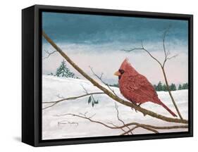 Auburn Cardinal-James Redding-Framed Stretched Canvas