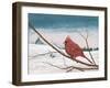 Auburn Cardinal-James Redding-Framed Art Print