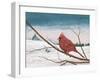 Auburn Cardinal-James Redding-Framed Art Print