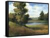 Auburn Meadow-Ethan Harper-Framed Stretched Canvas