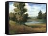 Auburn Meadow-Ethan Harper-Framed Stretched Canvas