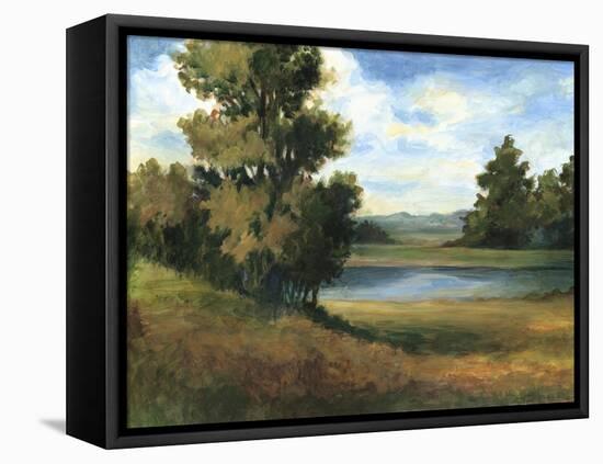 Auburn Meadow-Ethan Harper-Framed Stretched Canvas