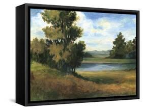 Auburn Meadow-Ethan Harper-Framed Stretched Canvas