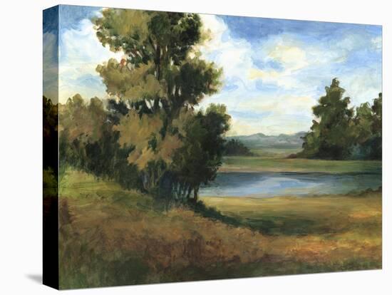 Auburn Meadow-Ethan Harper-Stretched Canvas