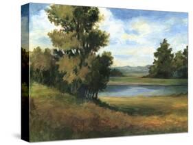 Auburn Meadow-Ethan Harper-Stretched Canvas