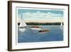 Auburn, New York - View of Sail and Motor Boats on Owasco Lake-Lantern Press-Framed Art Print