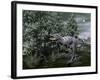 Aucasaurus Dinosaur Amongst Wollemia Trees and Onychiopsis Plants-Stocktrek Images-Framed Art Print